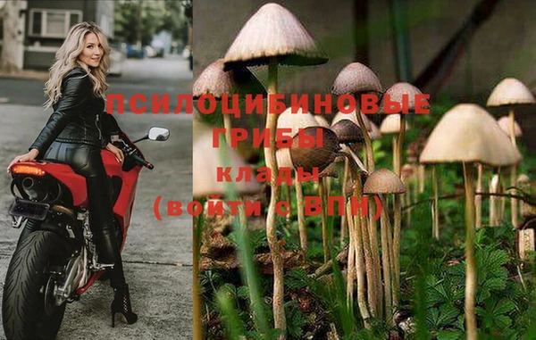а пвп мука Балахна