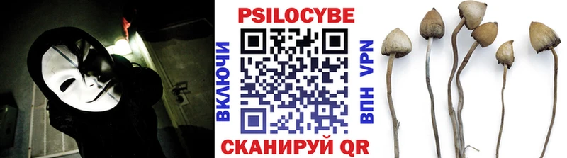 хочу наркоту  Белореченск  Псилоцибиновые грибы мицелий 